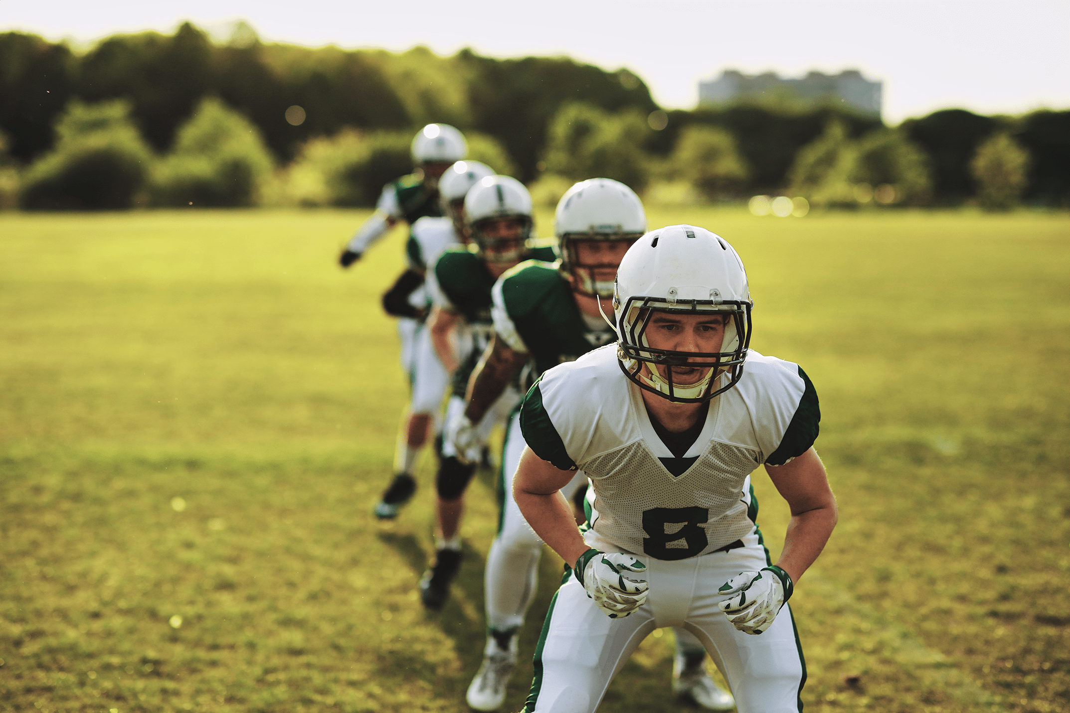 High School Varsity Team Roster